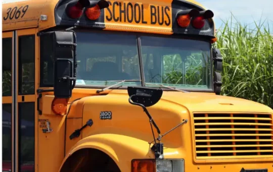 bus